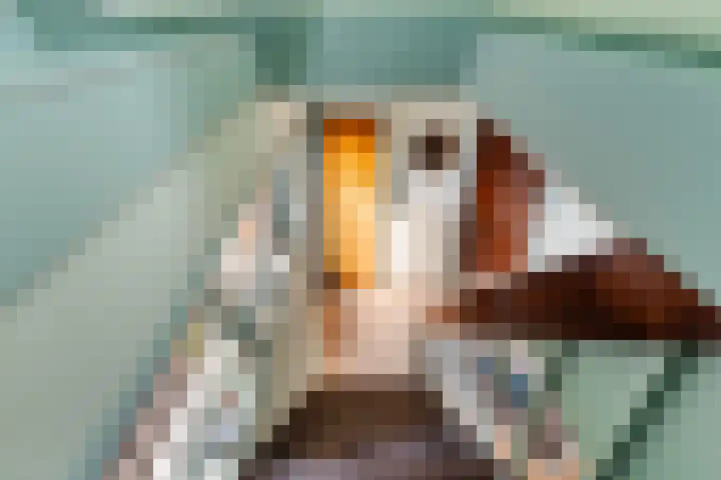 Miedloane 6 De Westereen thumbnail 7
