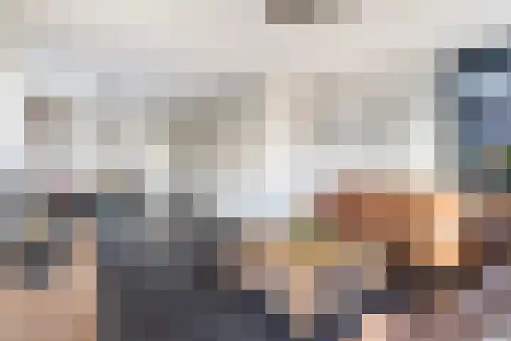 Miedloane 7 De Westereen thumbnail 15