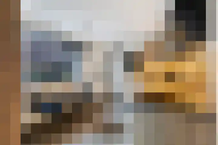 Miedloane 7 De Westereen thumbnail 17