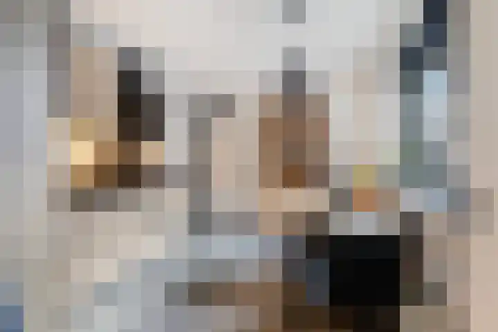 Miedloane 7 De Westereen thumbnail 19