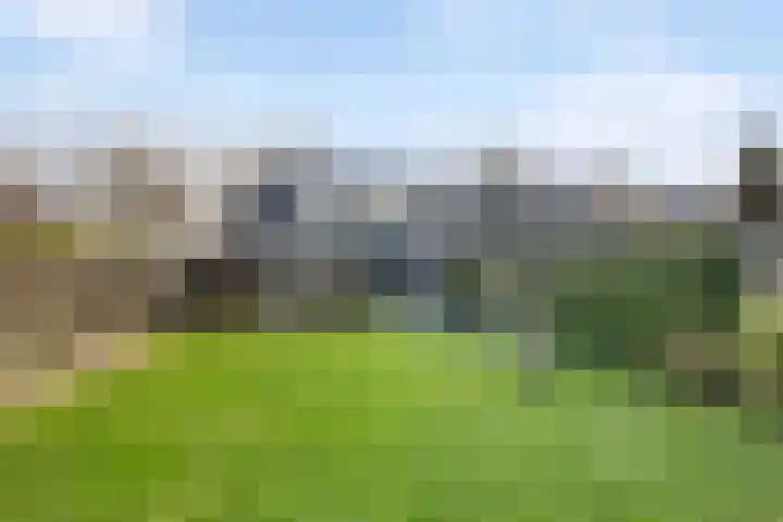 Miedloane 7 De Westereen thumbnail 20