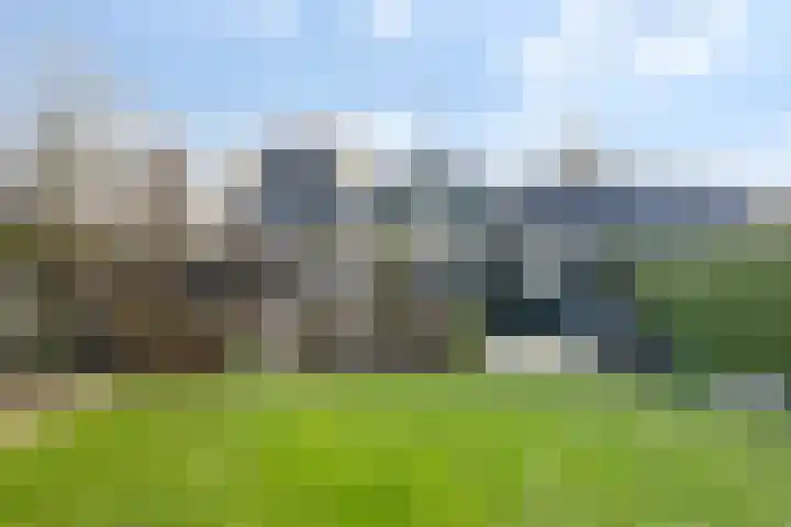 Miedloane 7 De Westereen thumbnail 21