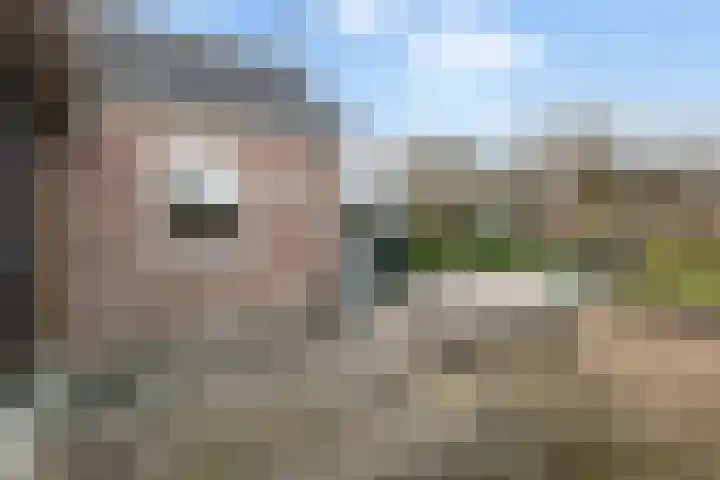 Miedloane 7 De Westereen thumbnail 22
