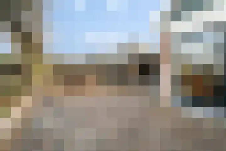 Miedloane 7 De Westereen thumbnail 23