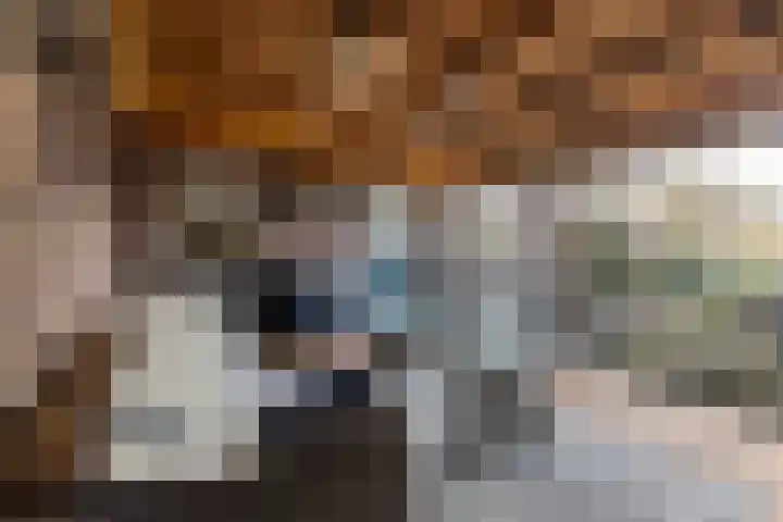 Miedloane 7 De Westereen thumbnail 27