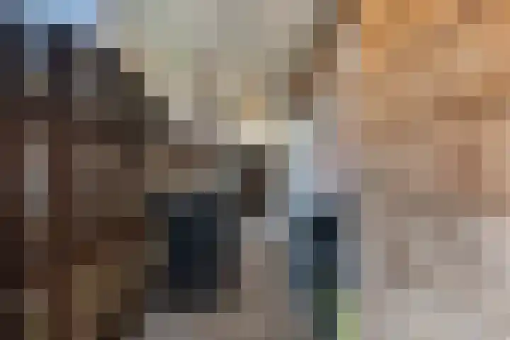 Miedloane 7 De Westereen thumbnail 28