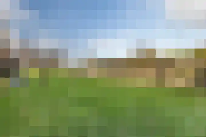 Miedloane 7 De Westereen thumbnail 29