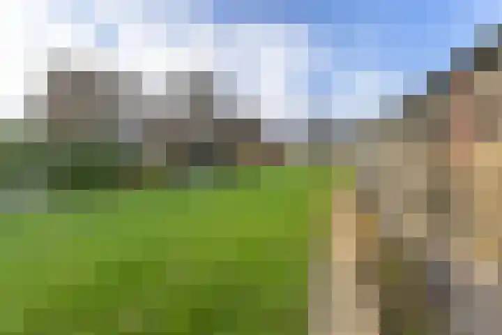 Miedloane 7 De Westereen thumbnail 30