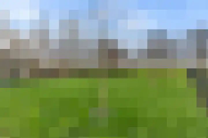 Miedloane 7 De Westereen thumbnail 31