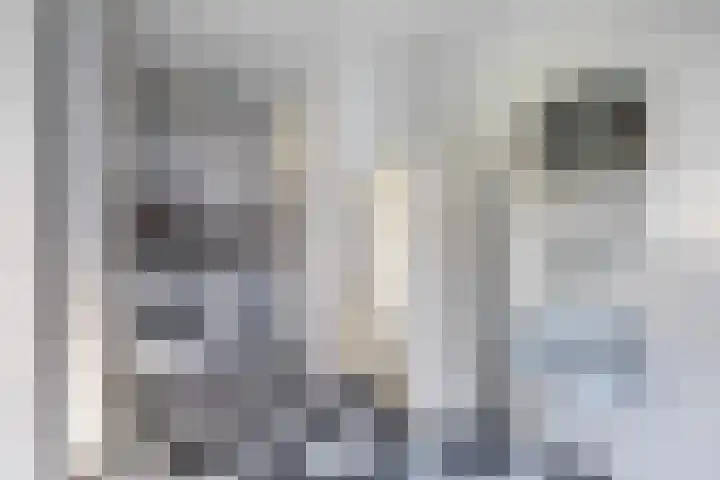 Miedloane 7 De Westereen thumbnail 32