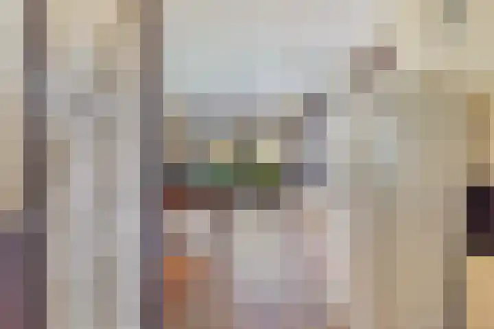 Miedloane 7 De Westereen thumbnail 34