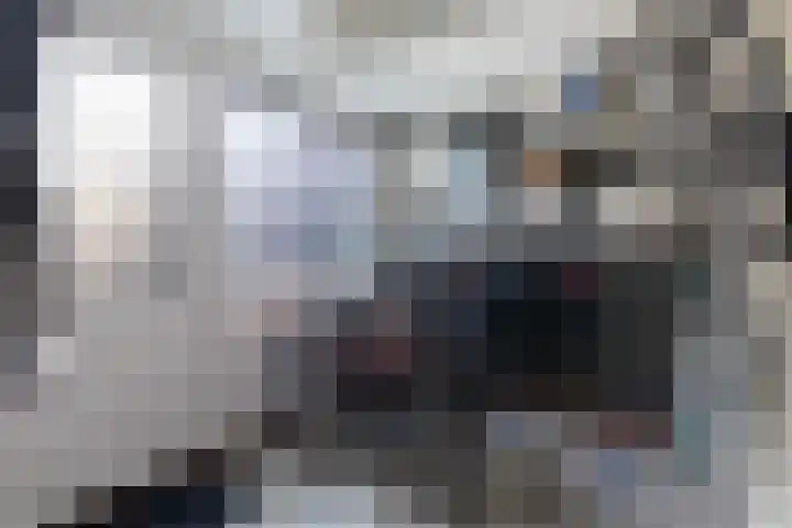 Miedloane 7 De Westereen thumbnail 37