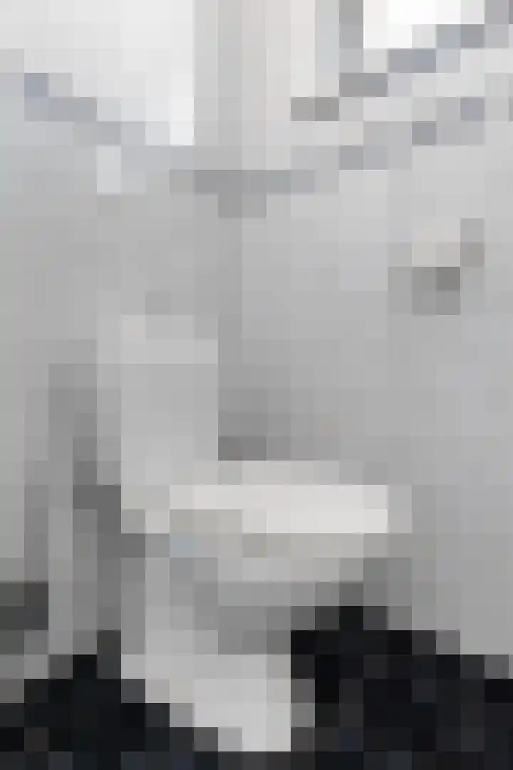 Miedloane 7 De Westereen thumbnail 38