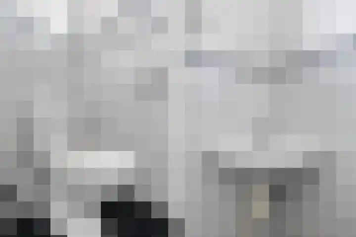 Miedloane 7 De Westereen thumbnail 39