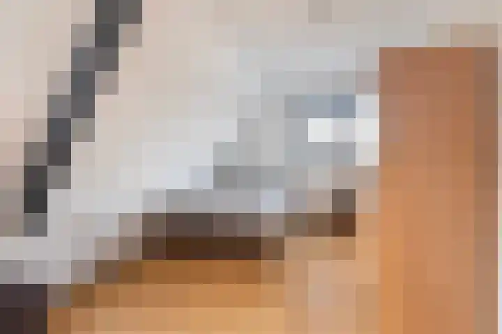 Miedloane 7 De Westereen thumbnail 47