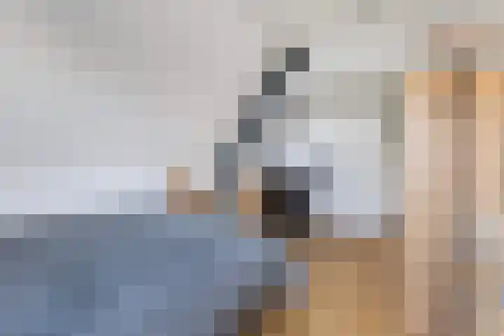 Miedloane 7 De Westereen thumbnail 48