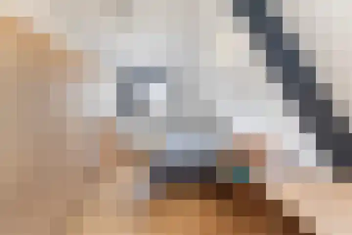 Miedloane 7 De Westereen thumbnail 49
