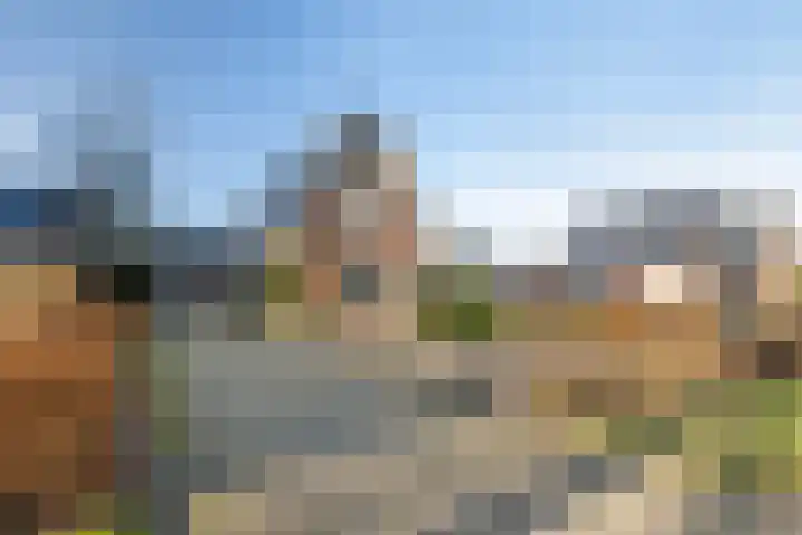 Miedloane 7 De Westereen thumbnail 5