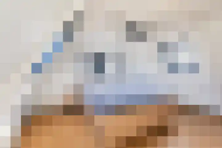 Miedloane 7 De Westereen thumbnail 50