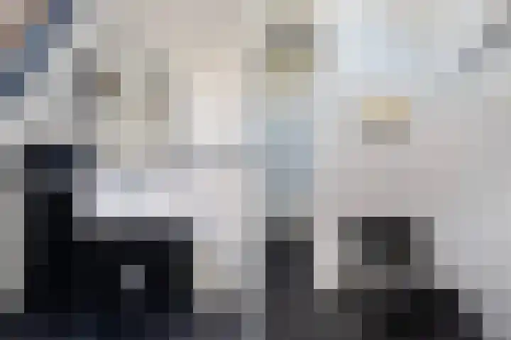 Miedloane 7 De Westereen thumbnail 52
