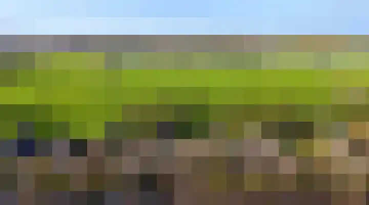 Miedloane 7 De Westereen thumbnail 56
