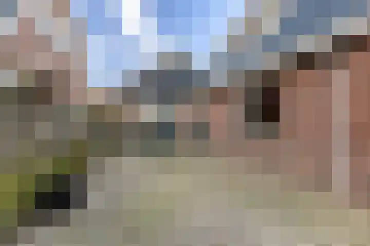 Miedloane 7 De Westereen thumbnail 7