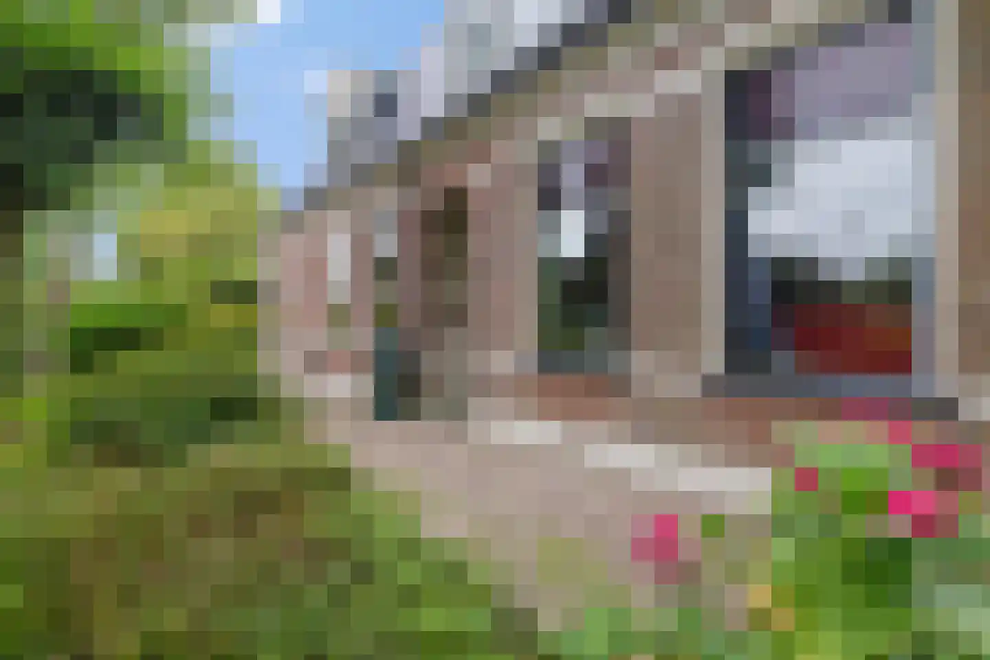 Miedweg 1 Marrum thumbnail 14