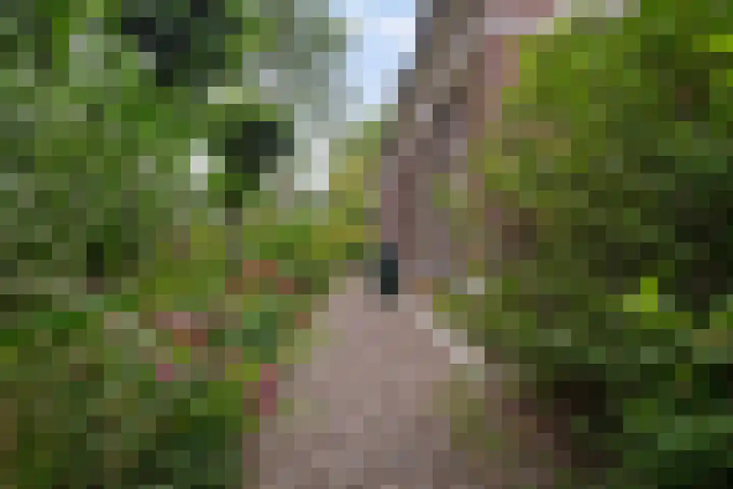 Miedweg 1 Marrum thumbnail 16