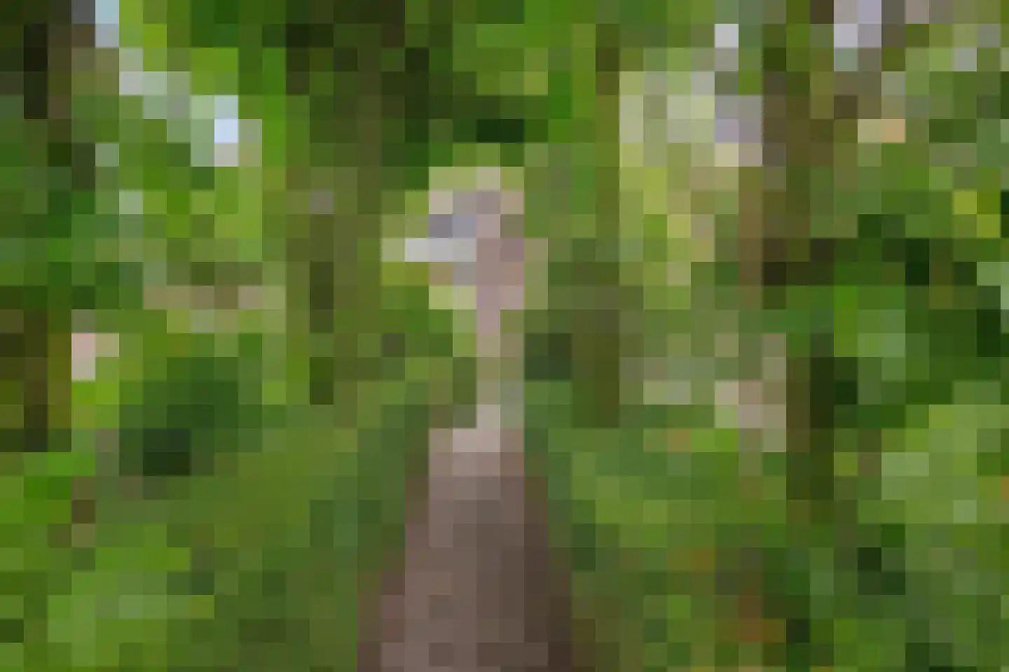 Miedweg 1 Marrum thumbnail 18