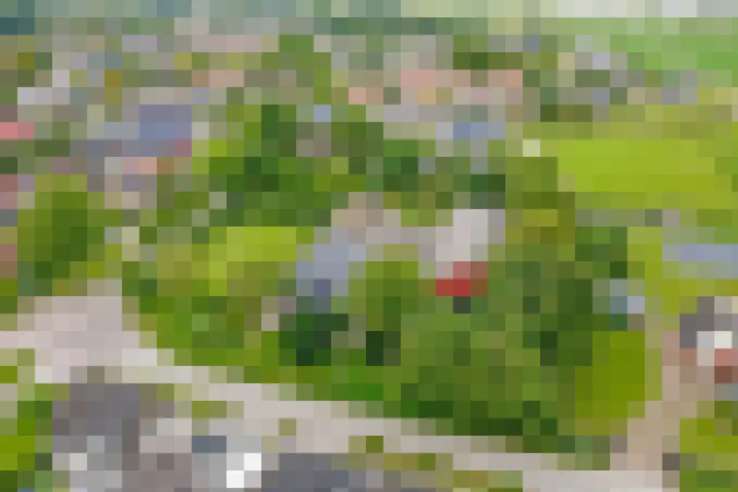 Miedweg 1 Marrum thumbnail 5