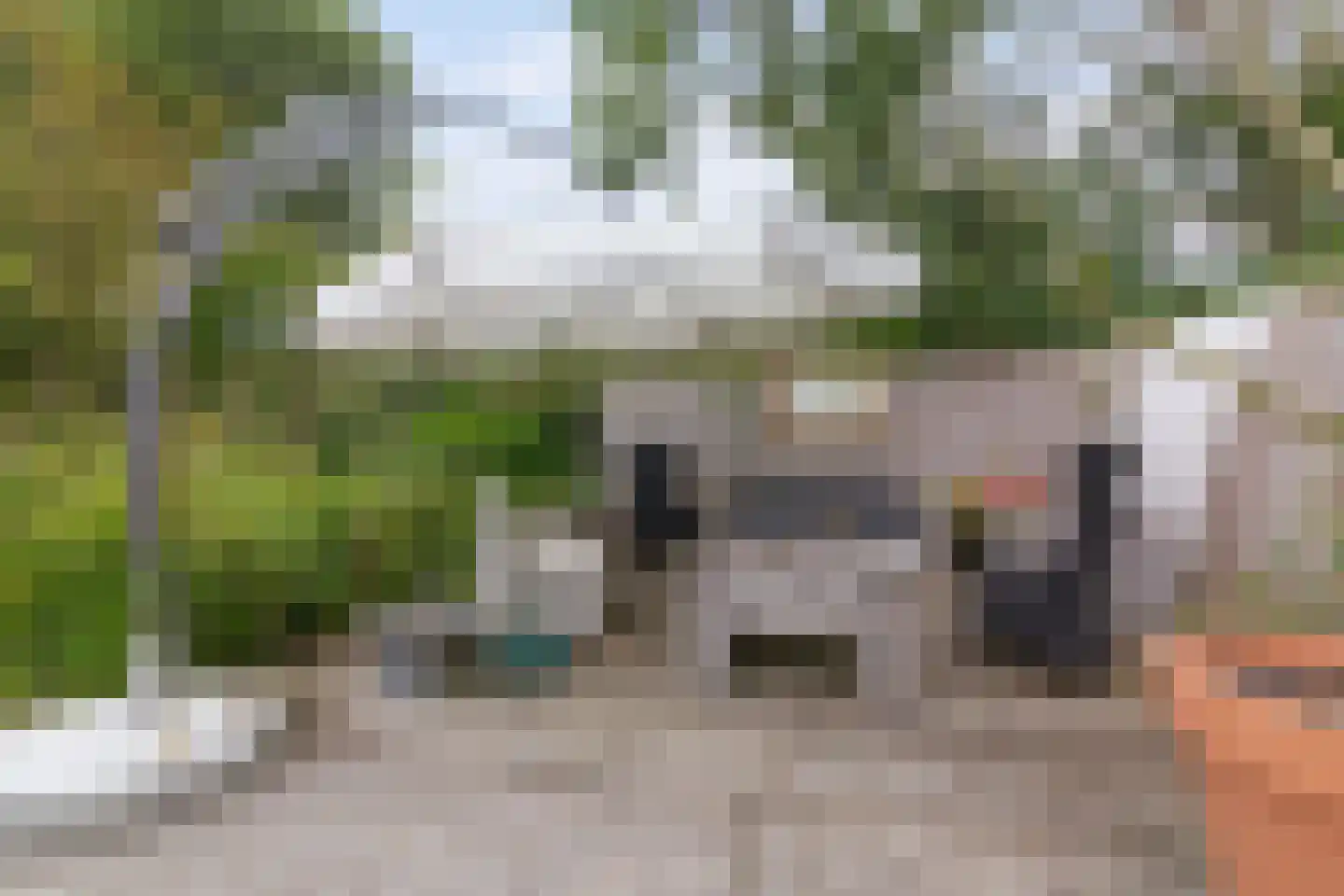 Miedweg 1 Marrum thumbnail 62