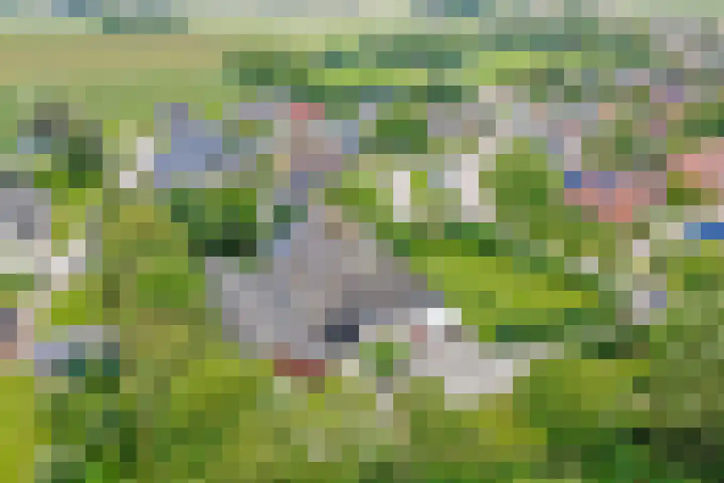 Miedweg 1 Marrum thumbnail 8