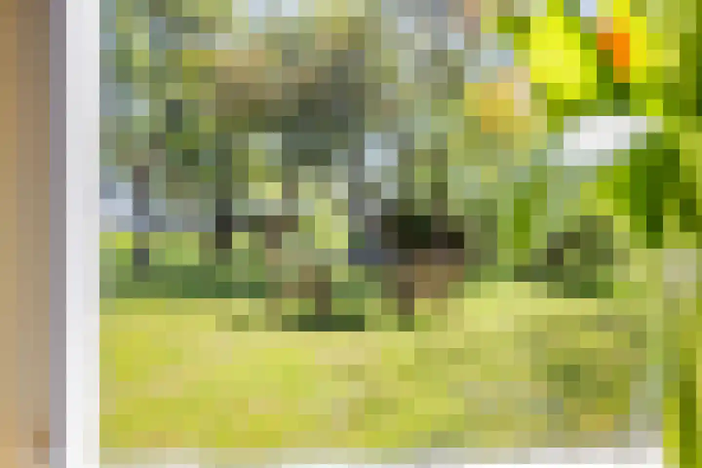 Miedweg 12 Boer thumbnail 17