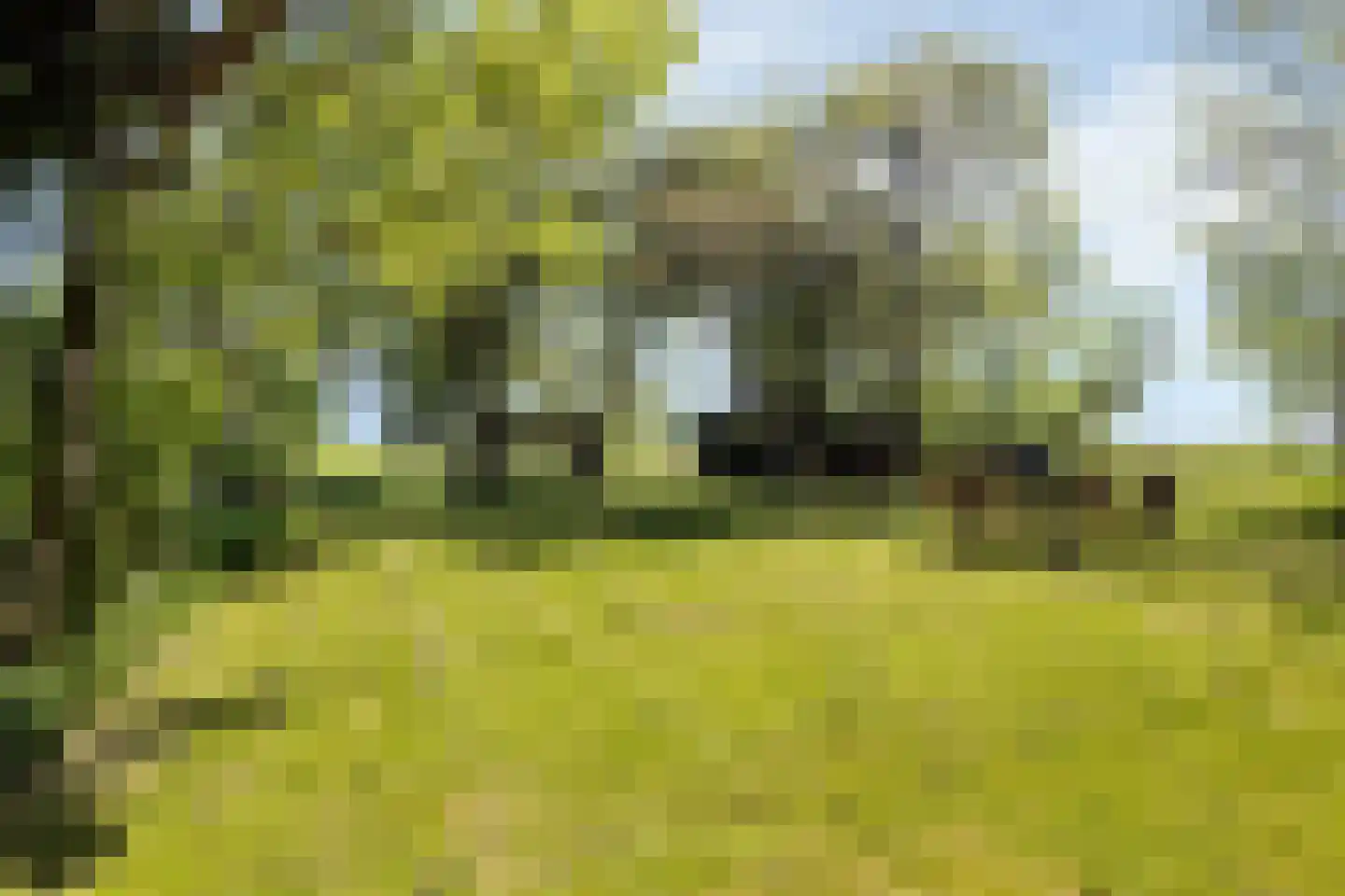 Miedweg 12 Boer thumbnail 53