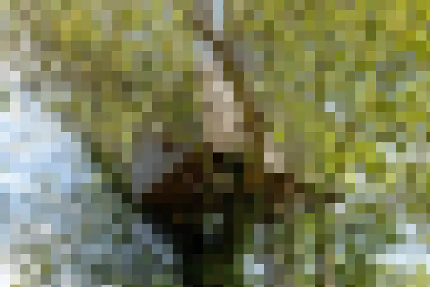 Miedweg 12 Boer thumbnail 54