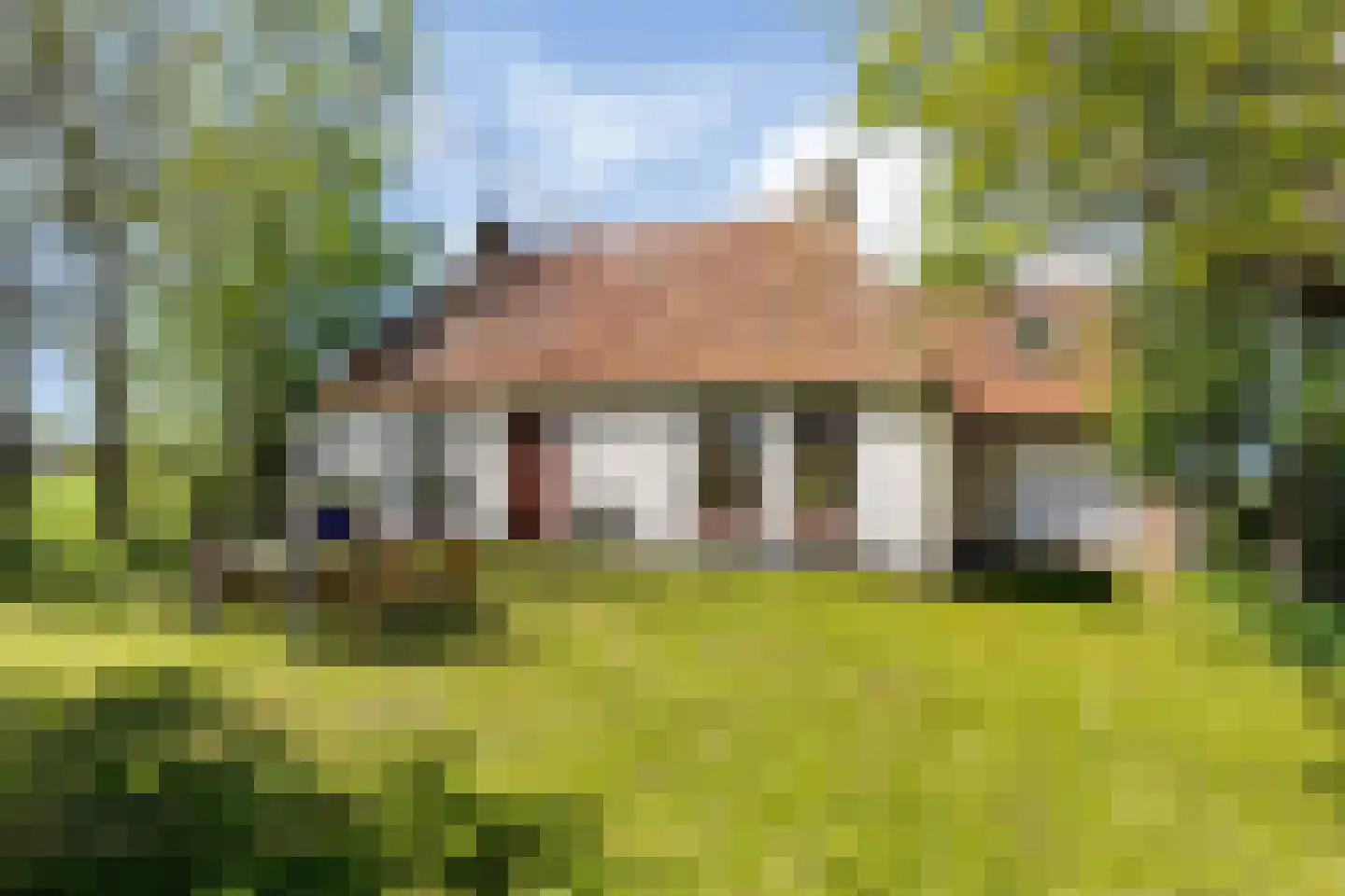 Miedweg 12 Boer thumbnail 55