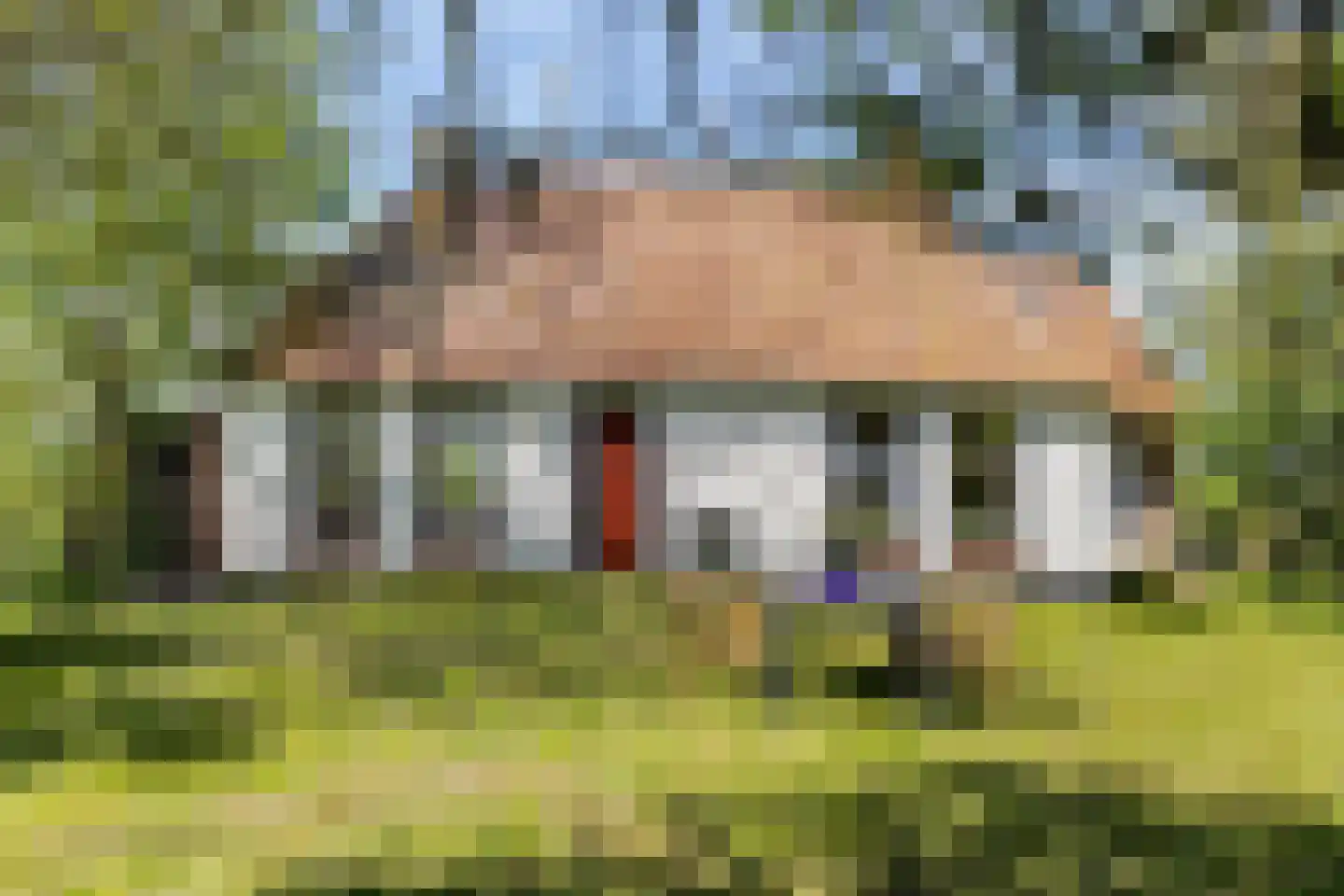 Miedweg 12 Boer thumbnail 56