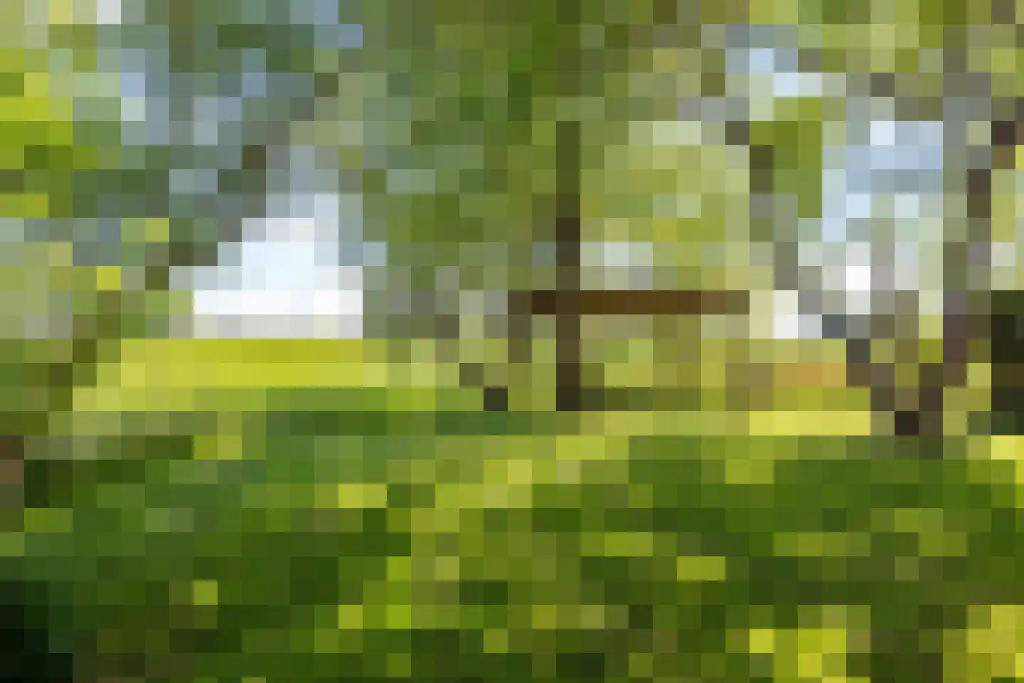 Miedweg 12 Boer thumbnail 57