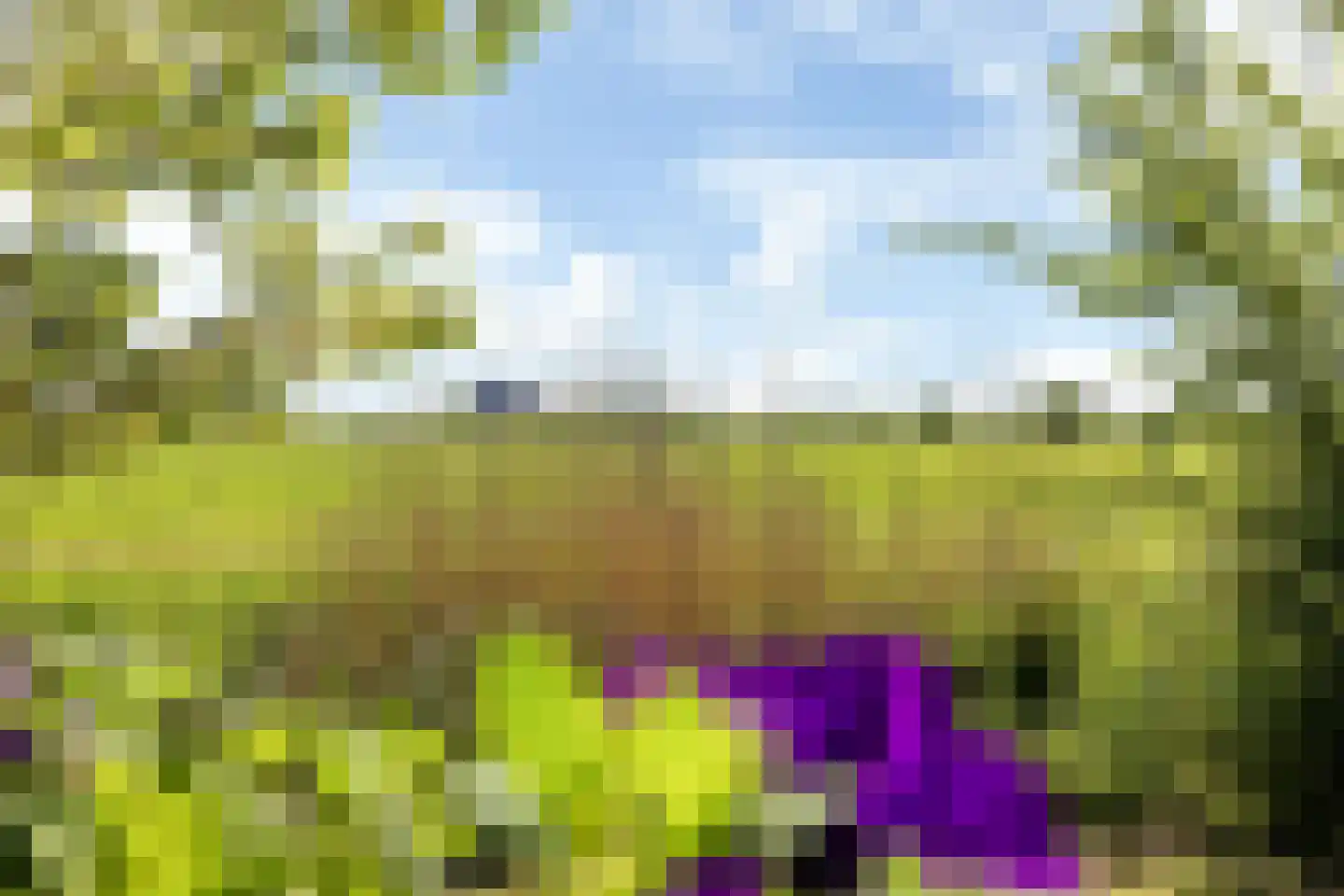 Miedweg 12 Boer thumbnail 58
