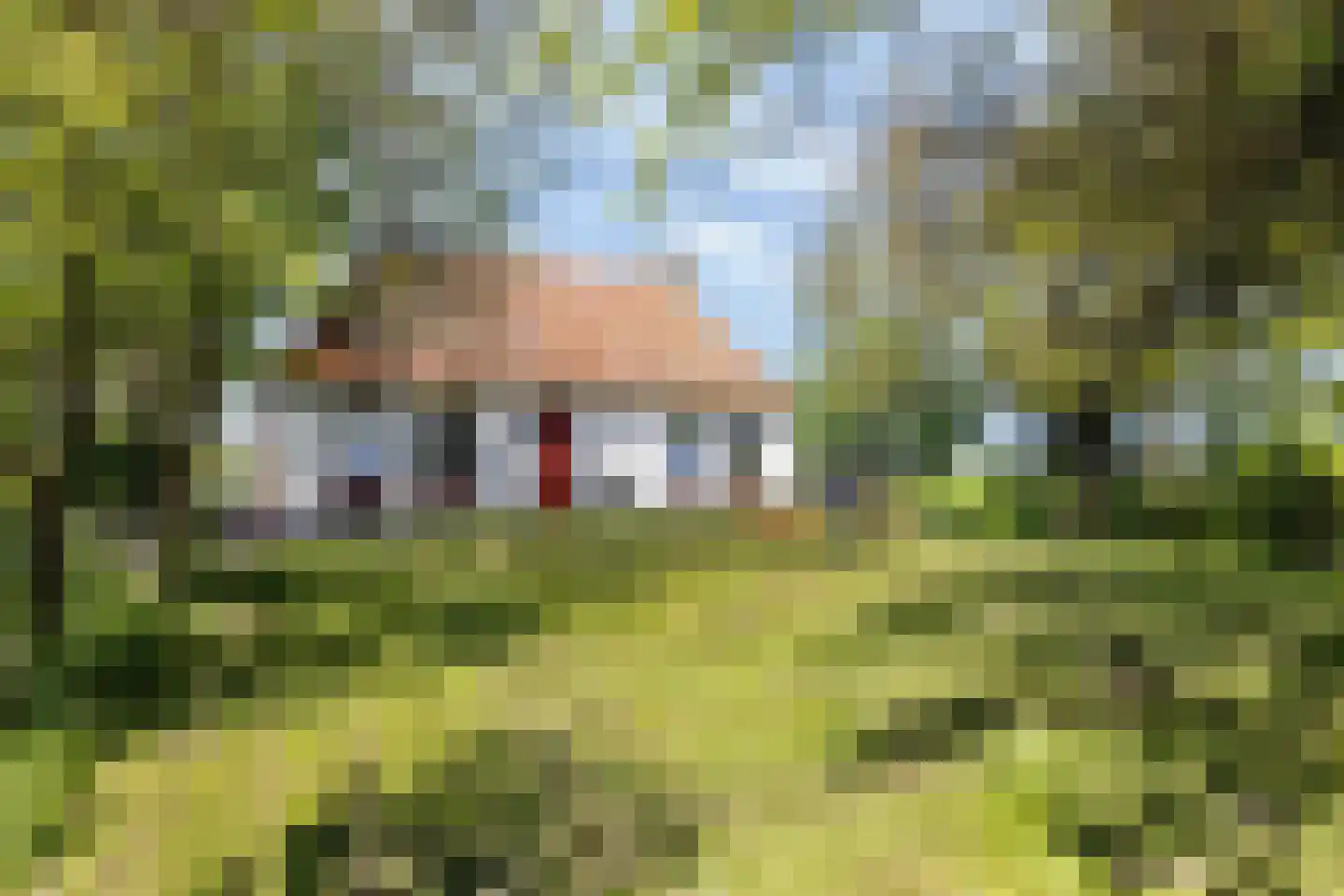 Miedweg 12 Boer thumbnail 59