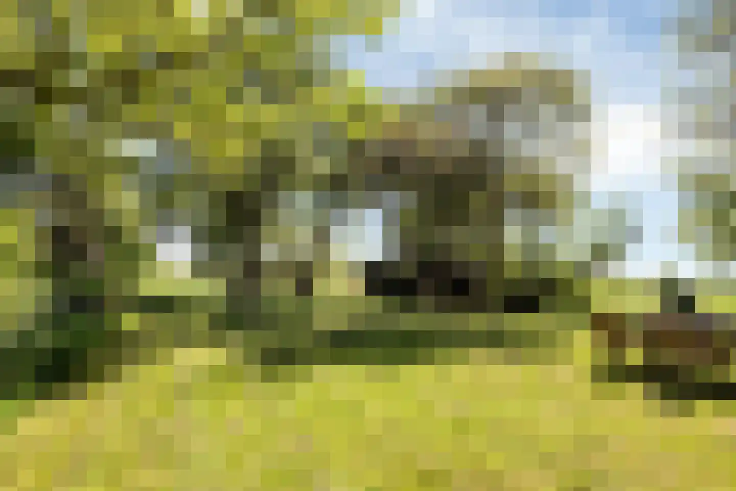 Miedweg 12 Boer thumbnail 60