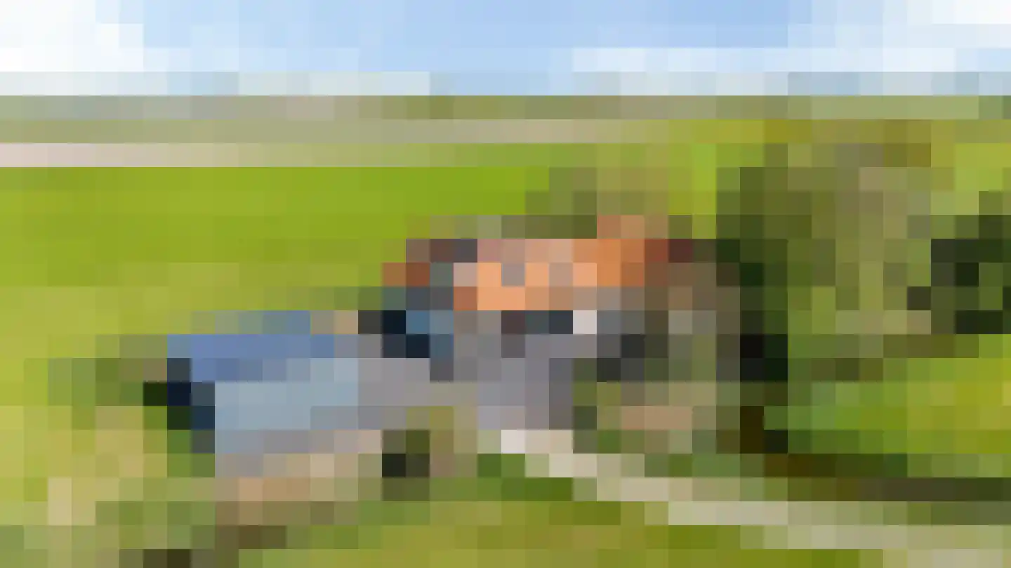 Miedweg 12 Boer thumbnail 62