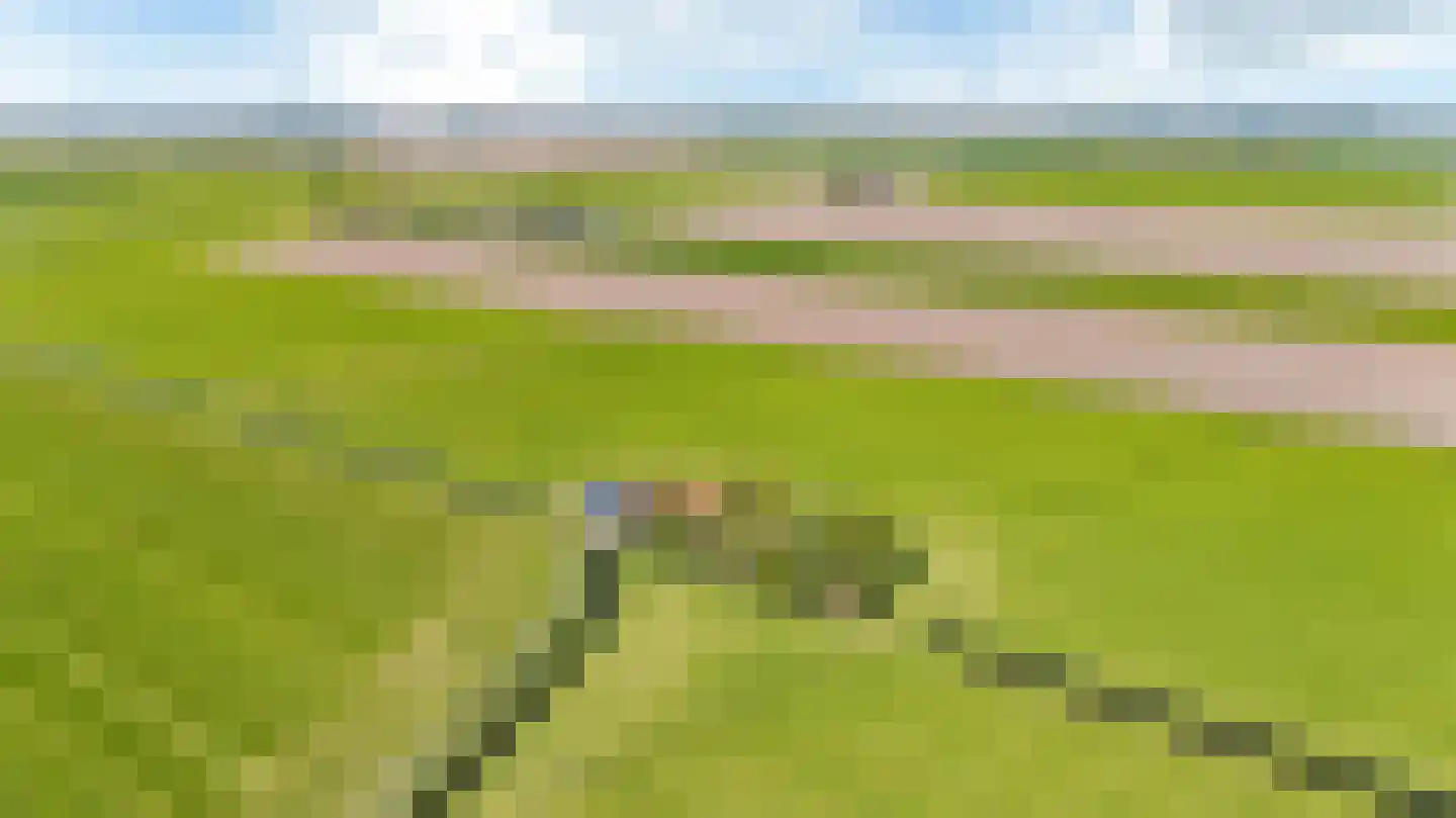 Miedweg 12 Boer thumbnail 63