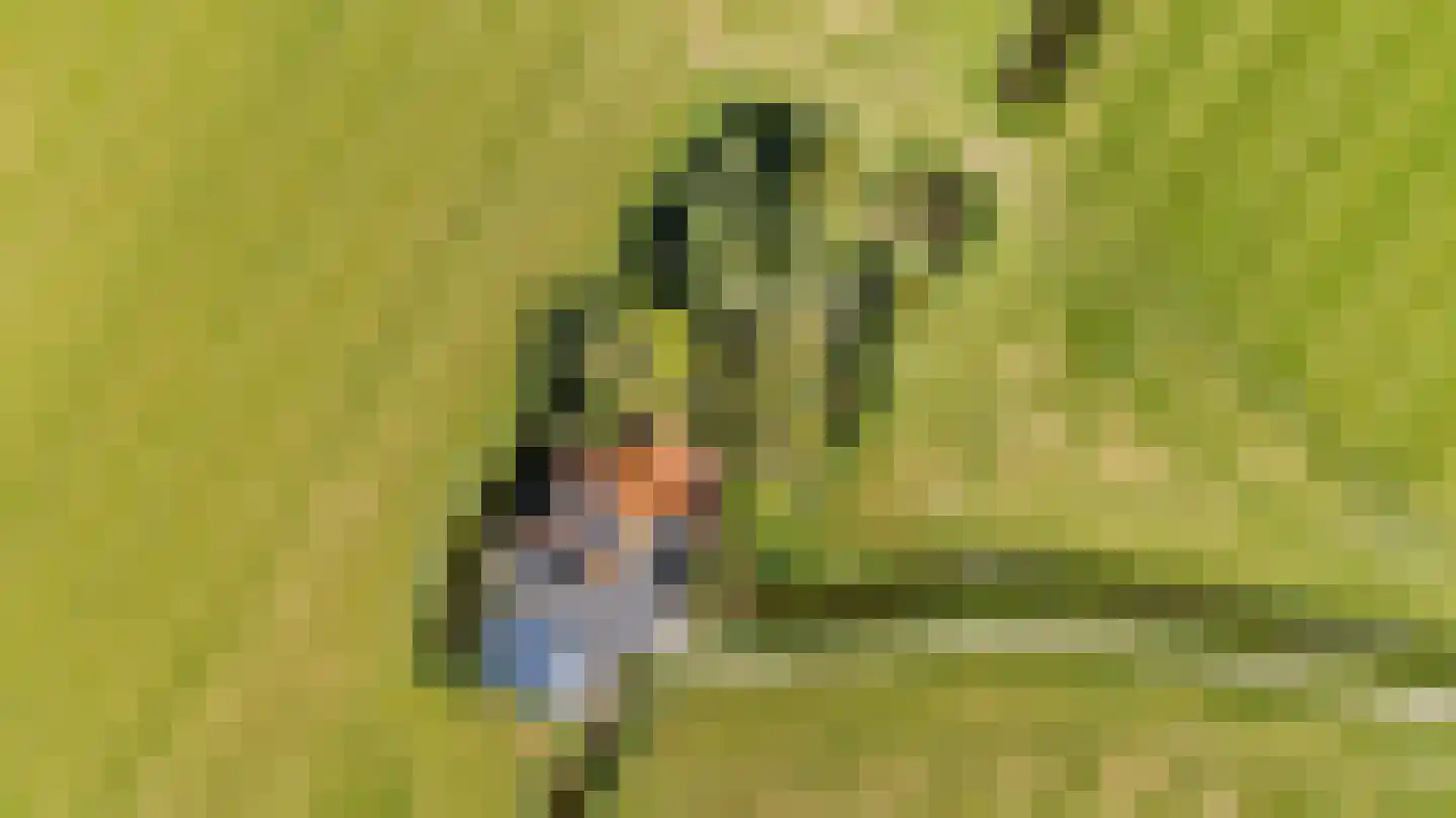 Miedweg 12 Boer thumbnail 65