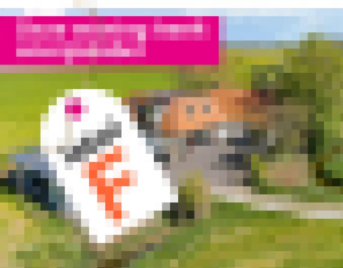 Miedweg 12 Boer thumbnail 66