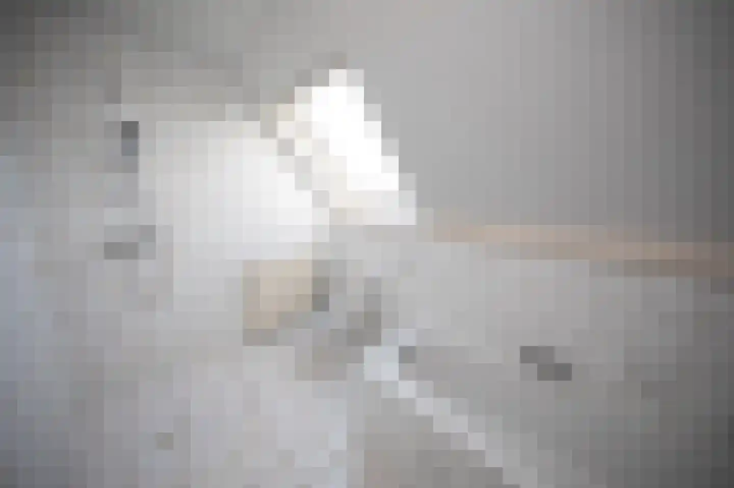 Miedwei 28 Surhuizum thumbnail 10