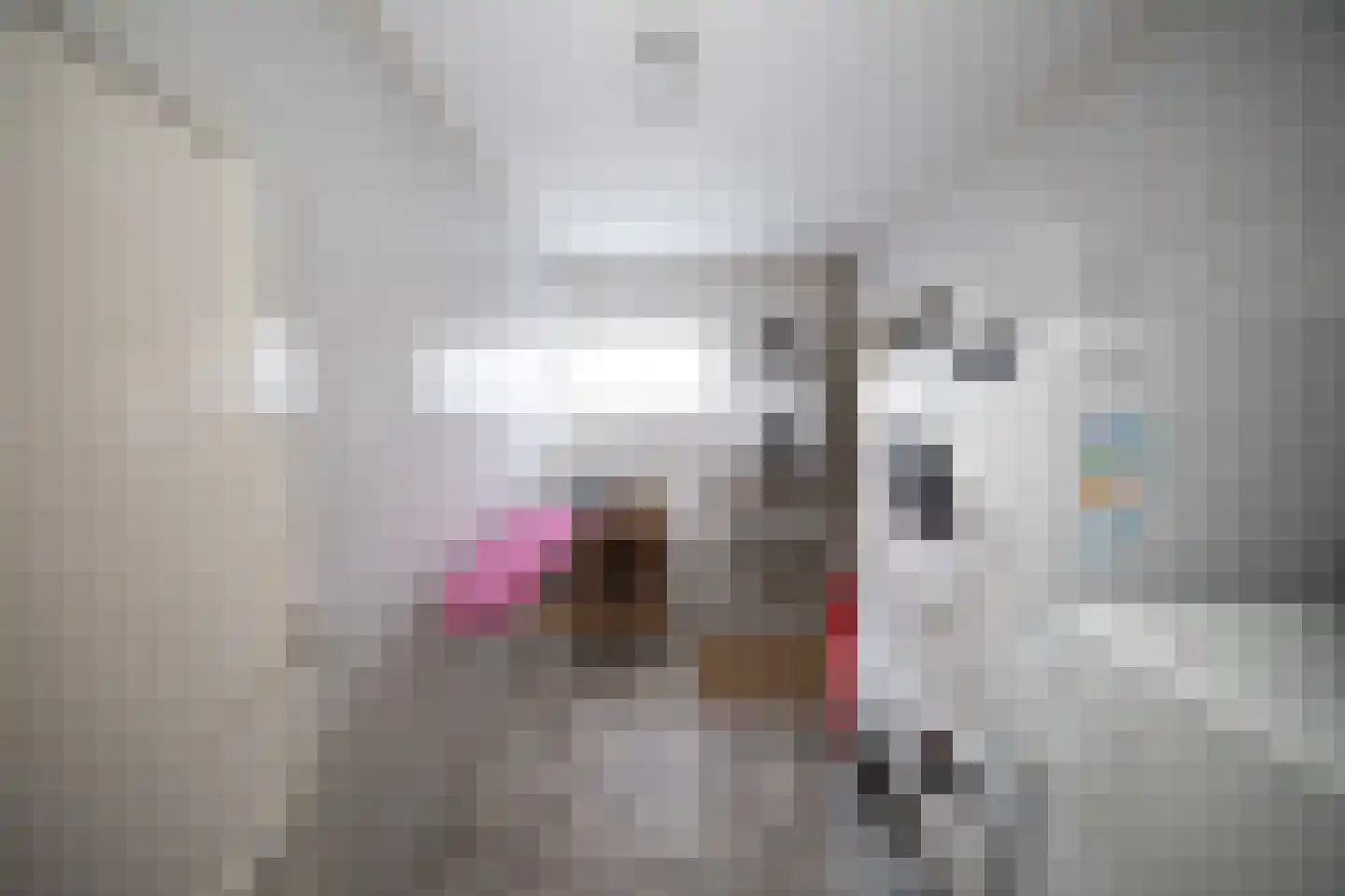Miedwei 28 Surhuizum thumbnail 11