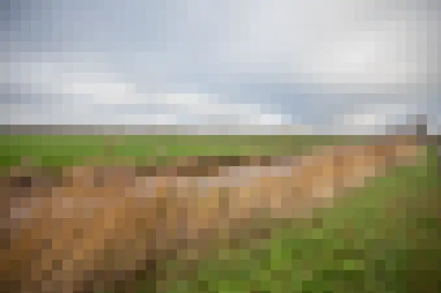 Miedwei 28 Surhuizum thumbnail 4