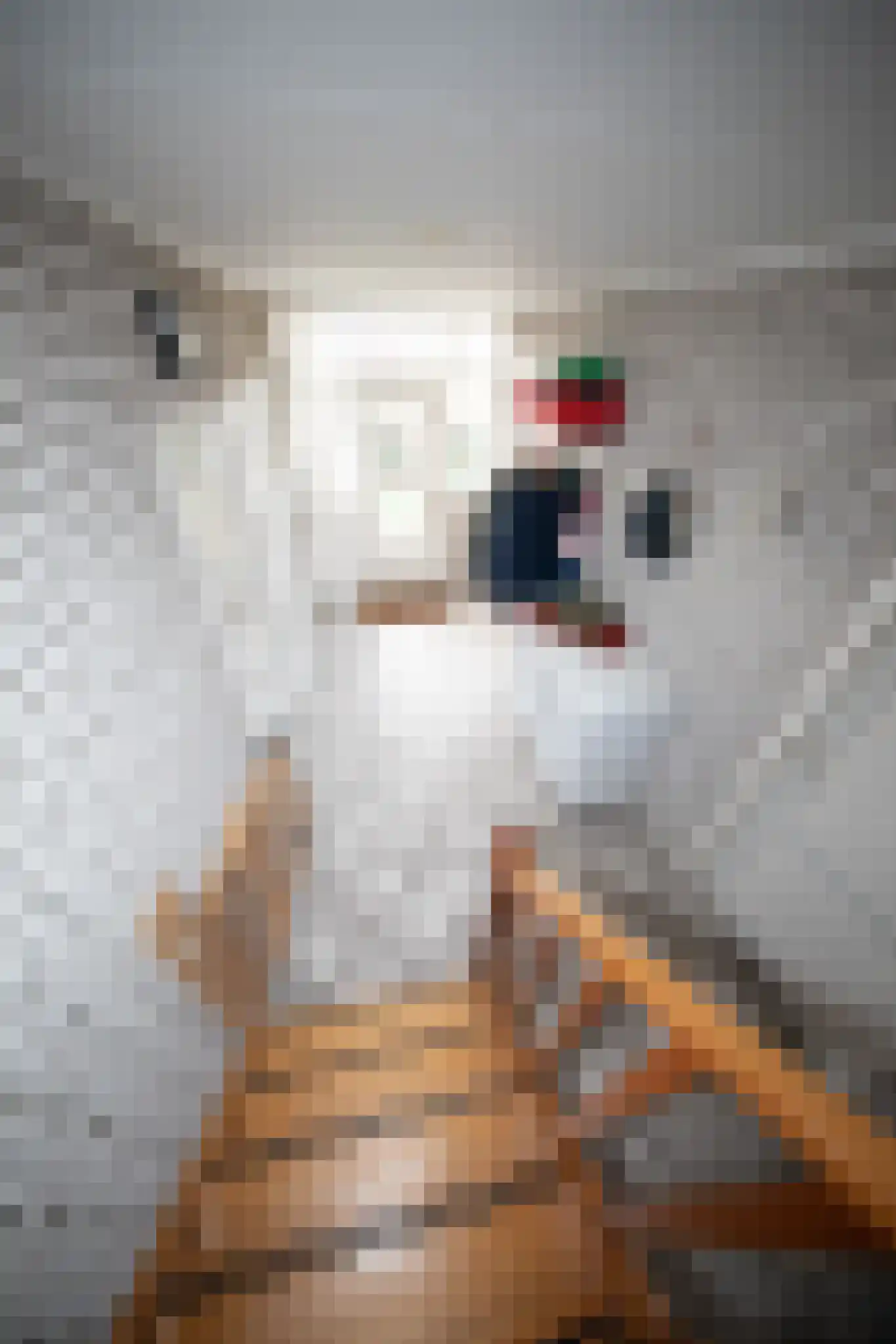 Miedwei 28 Surhuizum thumbnail 5