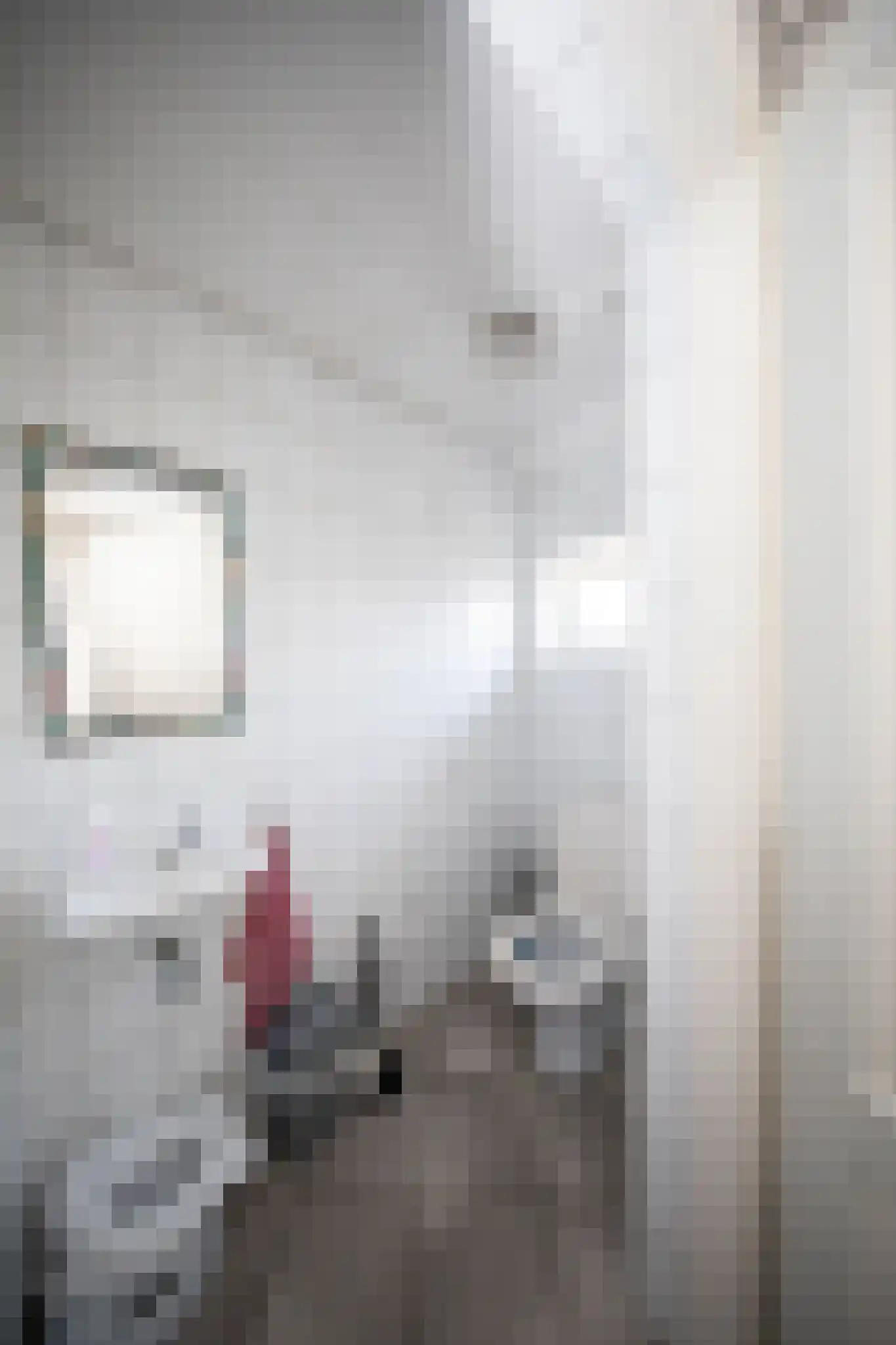 Miedwei 28 Surhuizum thumbnail 8